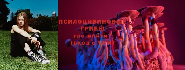 прущие грибы Вяземский