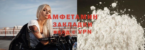 индика Волоколамск