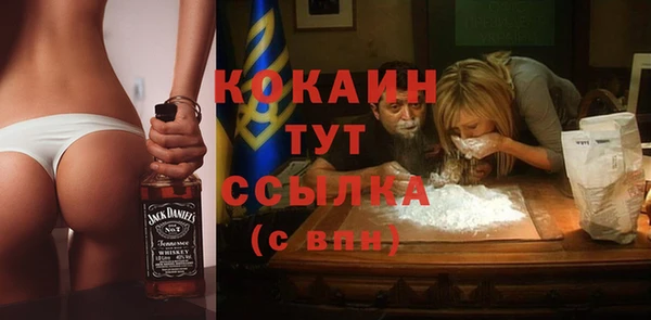 индика Волоколамск