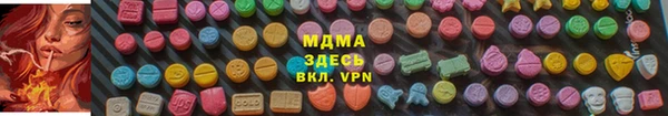 индика Волоколамск