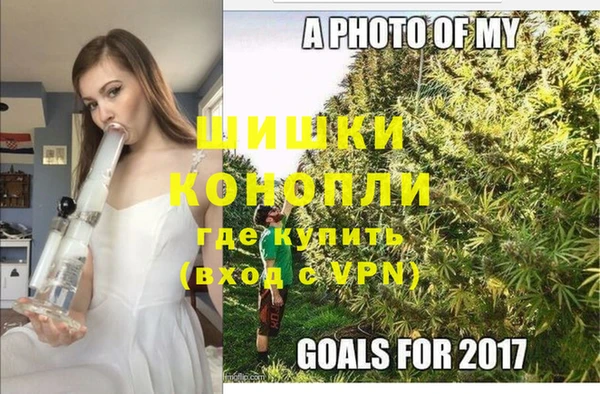 индика Волоколамск
