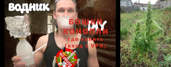 шишки Володарск