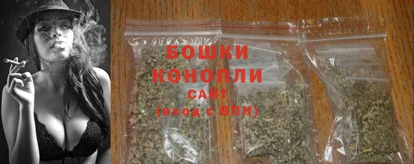 прущие грибы Вяземский