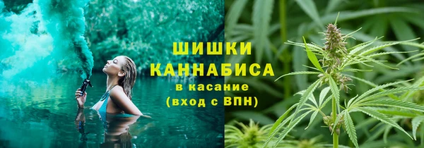 шишки Володарск