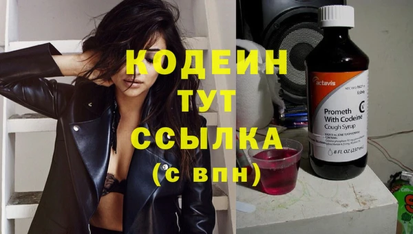 индика Волоколамск