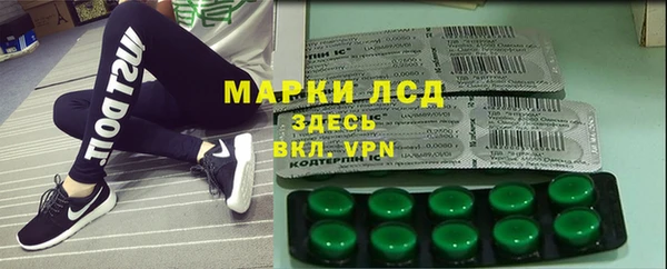 прущие грибы Вяземский