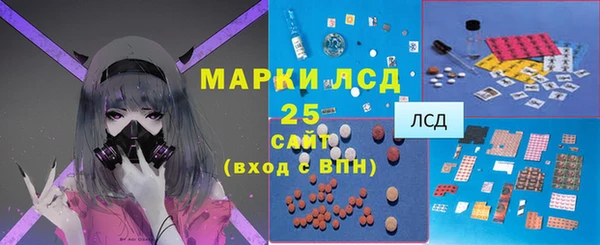 шишки Володарск