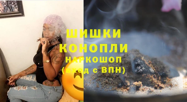 индика Волоколамск