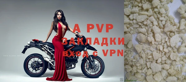 индика Волоколамск