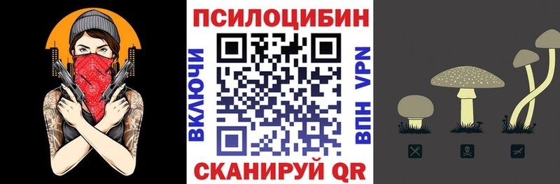 Галлюциногенные грибы Psilocybe  Купить  Межгорье 